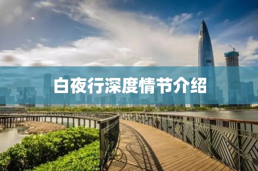 白夜行深度情节介绍