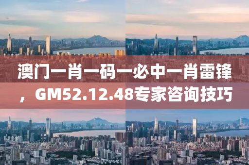 澳门一肖一码一必中一肖雷锋，GM52.12.48专家咨询技巧