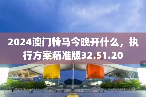 2024澳门特马今晚开什么，执行方案精准版32.51.20