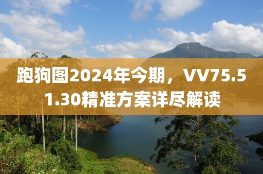 跑狗图2024年今期，VV75.51.30精准方案详尽解读