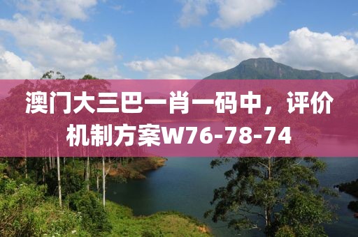 澳门大三巴一肖一码中，评价机制方案W76-78-74