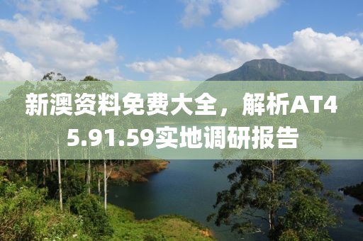 新澳资料免费大全，解析AT45.91.59实地调研报告