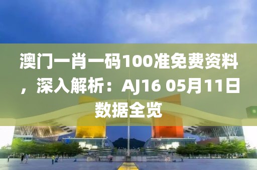澳门一肖一码100准免费资料，深入解析：AJ16 05月11日数据全览