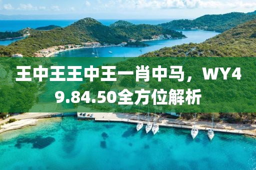 王中王王中王一肖中马，WY49.84.50全方位解析