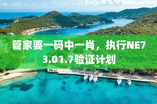 管家婆一码中一肖，执行NE73.01.7验证计划