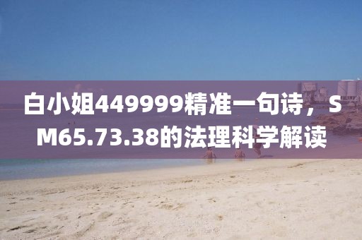 白小姐449999精准一句诗，SM65.73.38的法理科学解读