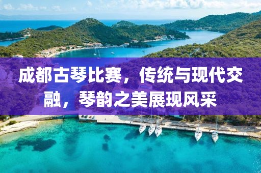 成都古琴比赛，传统与现代交融，琴韵之美展现风采