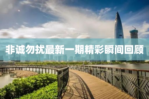 非诚勿扰最新一期精彩瞬间回顾