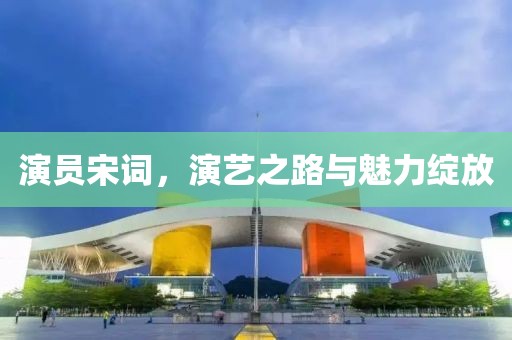 演员宋词，演艺之路与魅力绽放