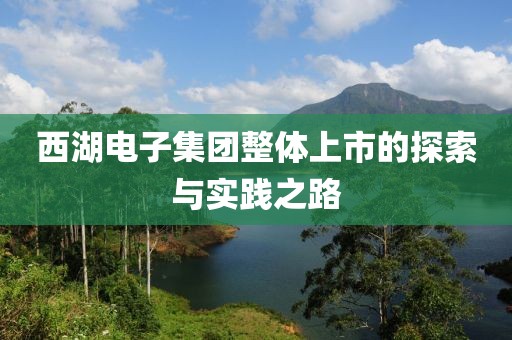 西湖电子集团整体上市的探索与实践之路
