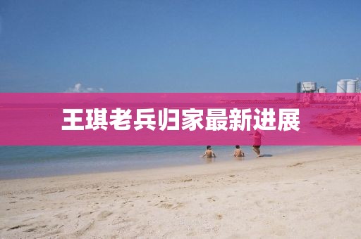 王琪老兵归家最新进展