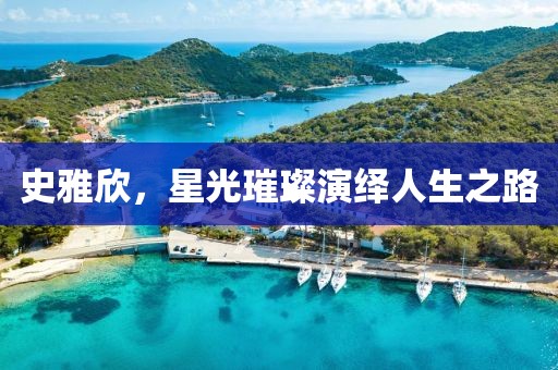 史雅欣，星光璀璨演绎人生之路
