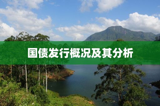 国债发行概况及其分析