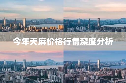 今年天麻价格行情深度分析