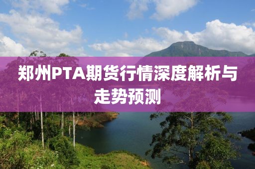 郑州PTA期货行情深度解析与走势预测