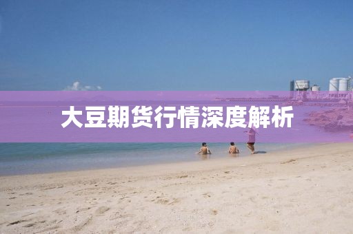 大豆期货行情深度解析