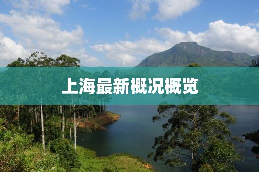 上海最新概况概览