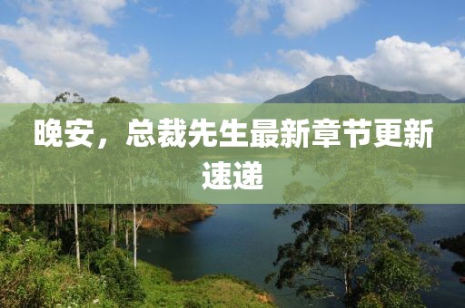 晚安，总裁先生最新章节更新速递