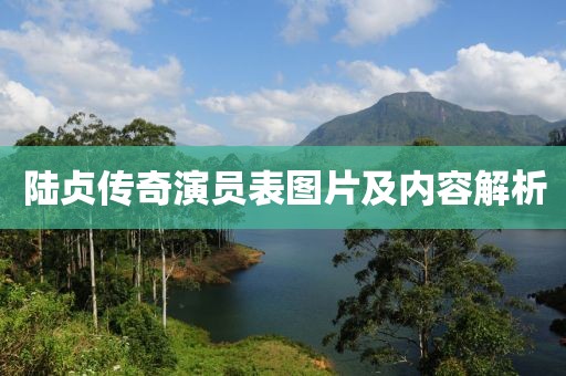 陆贞传奇演员表图片及内容解析