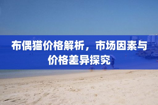 布偶猫价格解析，市场因素与价格差异探究