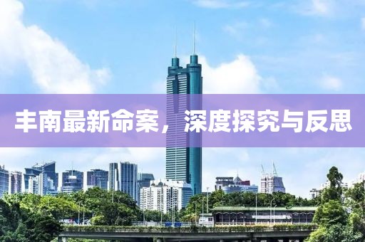 丰南最新命案，深度探究与反思