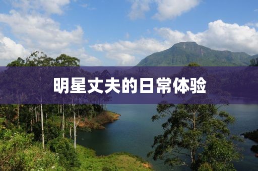 明星丈夫的日常体验