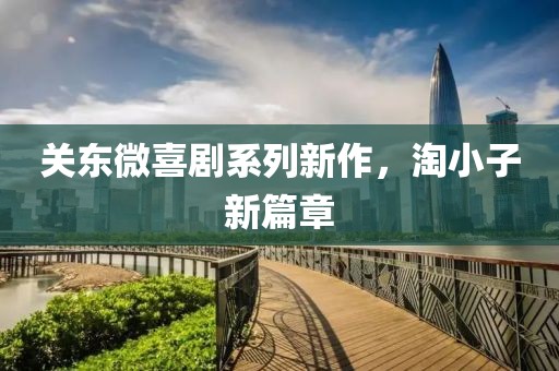 关东微喜剧系列新作，淘小子新篇章