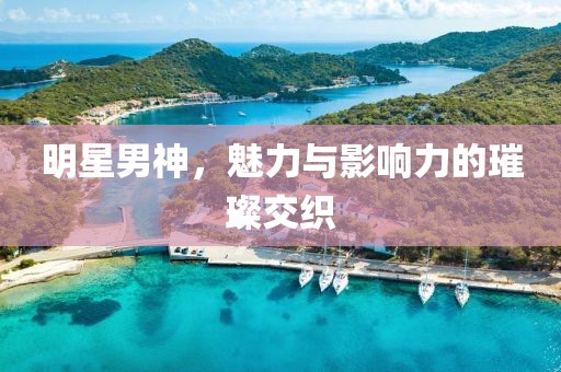 明星男神，魅力与影响力的璀璨交织