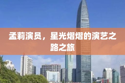 孟莉演员，星光熠熠的演艺之路之旅