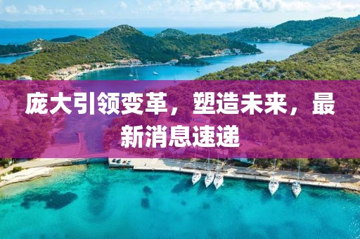 庞大引领变革，塑造未来，最新消息速递