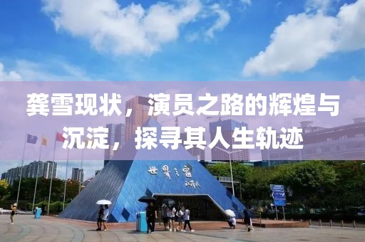 龚雪现状，演员之路的辉煌与沉淀，探寻其人生轨迹