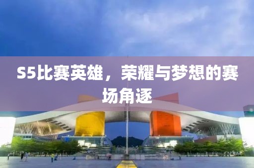 S5比赛英雄，荣耀与梦想的赛场角逐
