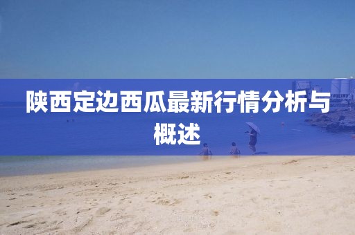 陕西定边西瓜最新行情分析与概述