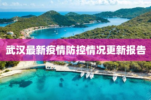 武汉最新疫情防控情况更新报告