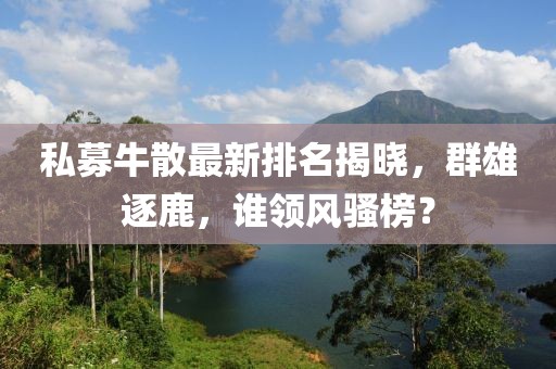 私募牛散最新排名揭晓，群雄逐鹿，谁领风骚榜？