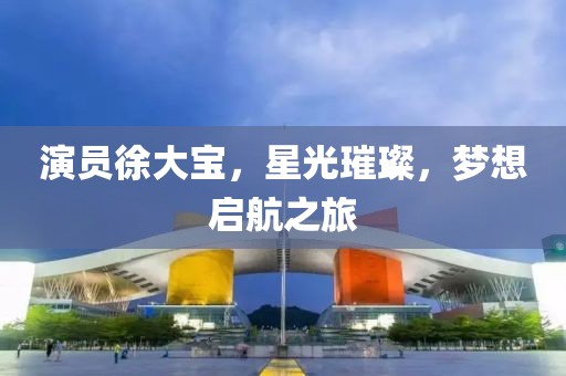 演员徐大宝，星光璀璨，梦想启航之旅