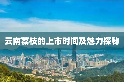 云南荔枝的上市时间及魅力探秘