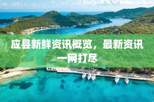 应县新鲜资讯概览，最新资讯一网打尽