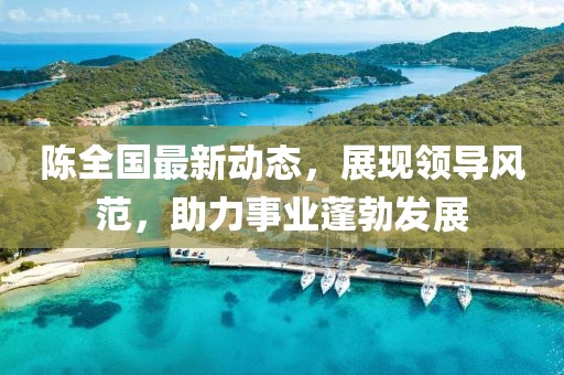 陈全国最新动态，展现领导风范，助力事业蓬勃发展