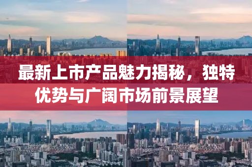 最新上市产品魅力揭秘，独特优势与广阔市场前景展望