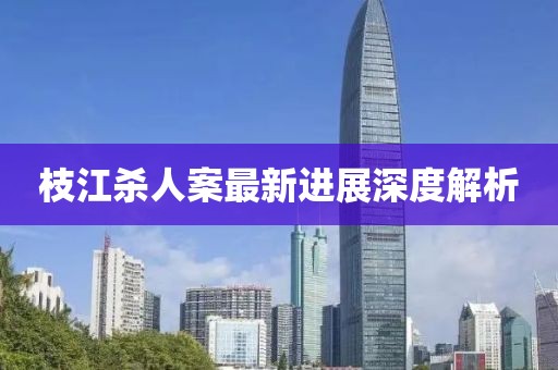 枝江杀人案最新进展深度解析
