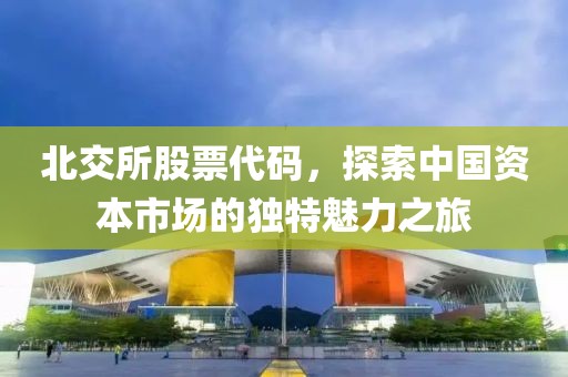 北交所股票代码，探索中国资本市场的独特魅力之旅