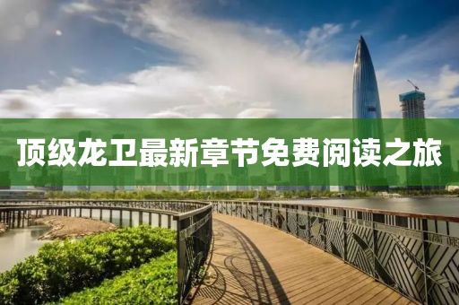 顶级龙卫最新章节免费阅读之旅