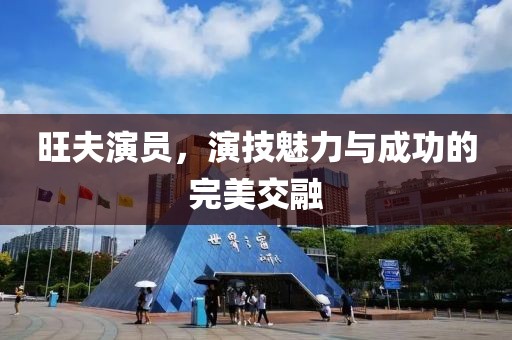 旺夫演员，演技魅力与成功的完美交融