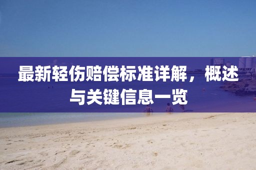 最新轻伤赔偿标准详解，概述与关键信息一览