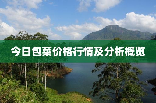 今日包菜价格行情及分析概览