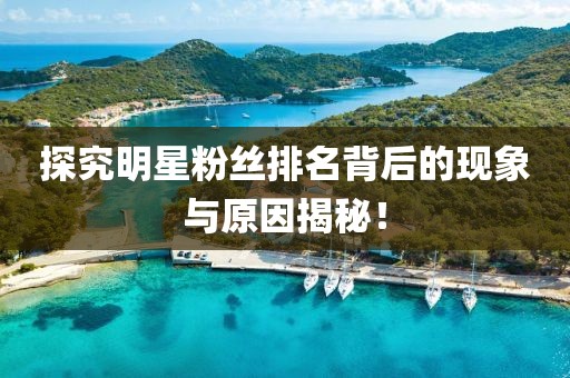 探究明星粉丝排名背后的现象与原因揭秘！