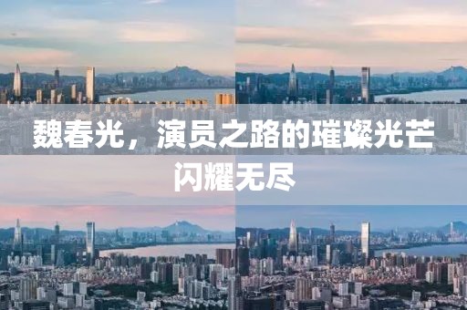 魏春光，演员之路的璀璨光芒闪耀无尽