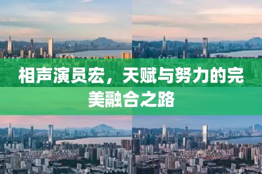 相声演员宏，天赋与努力的完美融合之路
