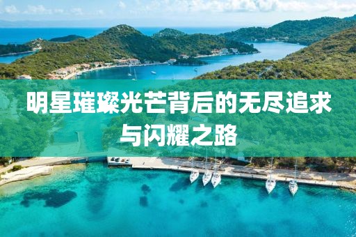 明星璀璨光芒背后的无尽追求与闪耀之路
